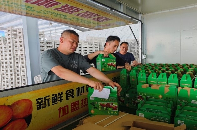 鄉村振興工作動態（第169期）